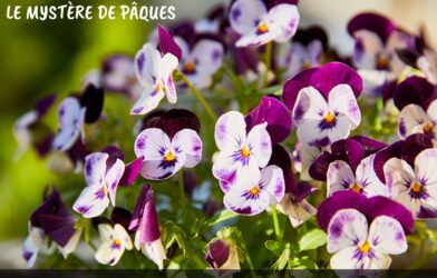 Éveil biblique: le mystère de Pâques